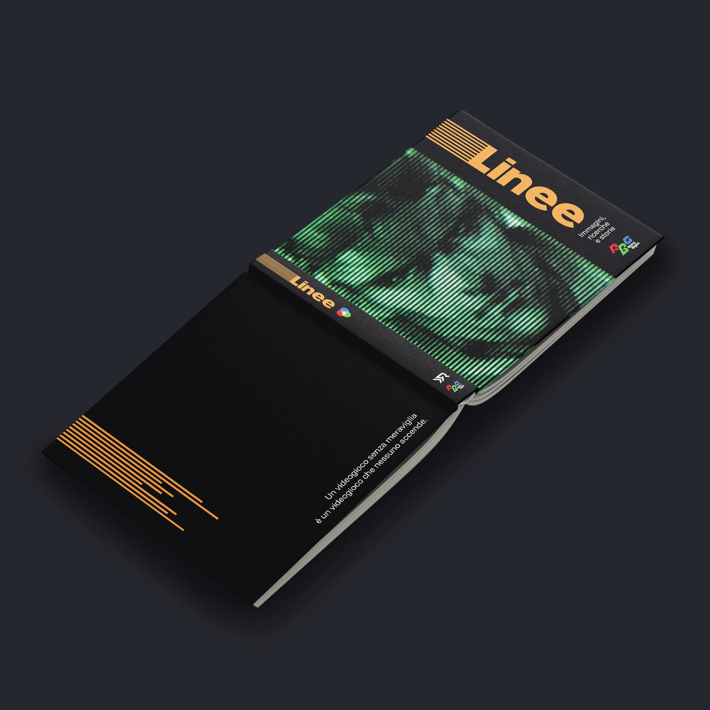 Linee. Immagini, ricerche e storie