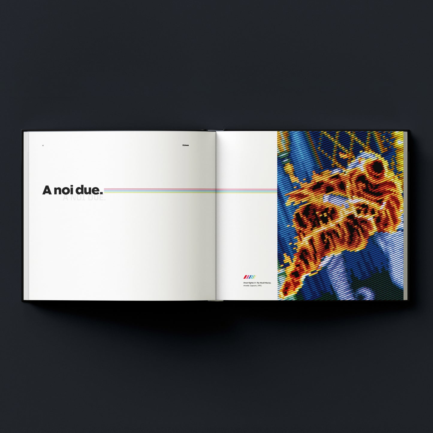 Linee. Immagini, ricerche e storie