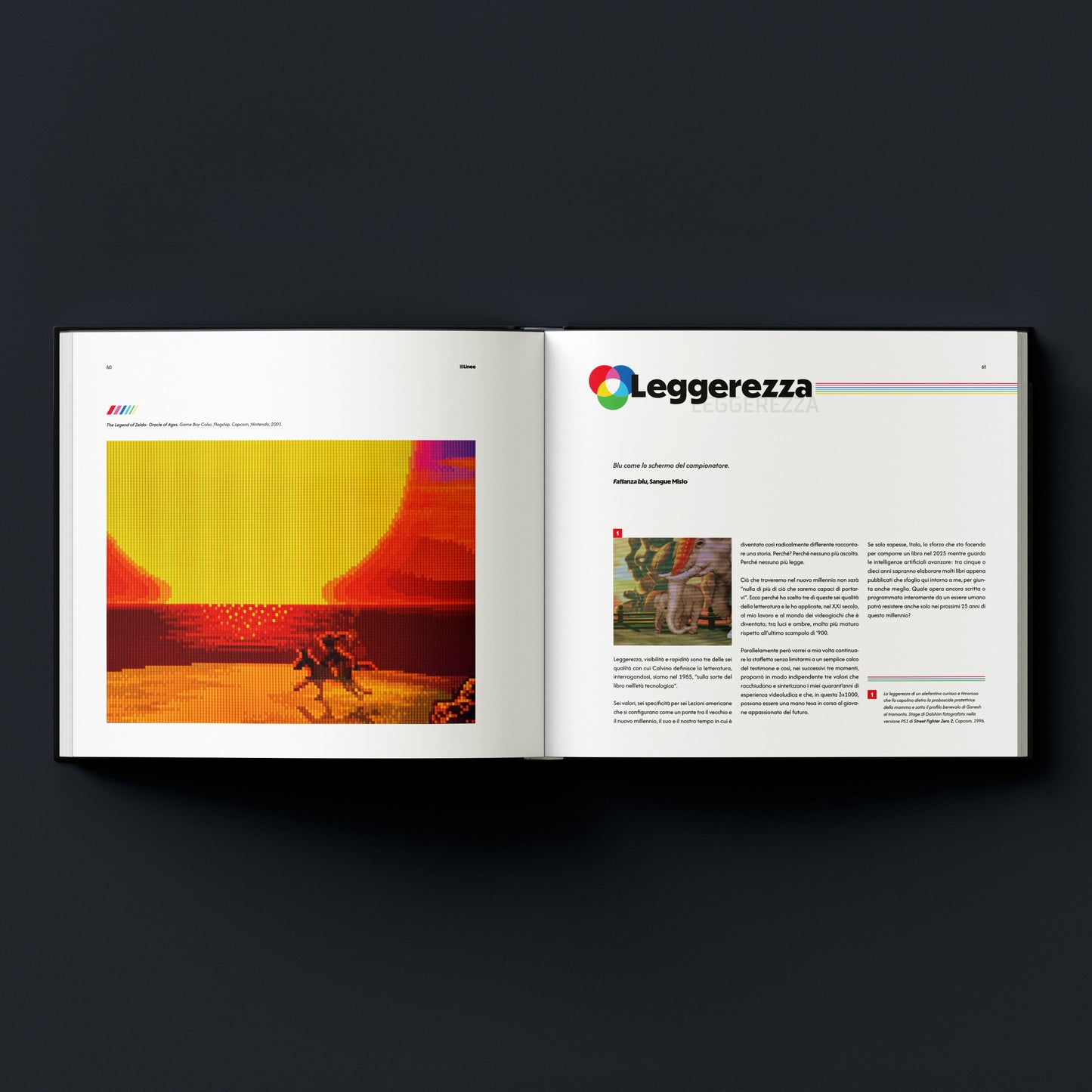 Linee. Immagini, ricerche e storie